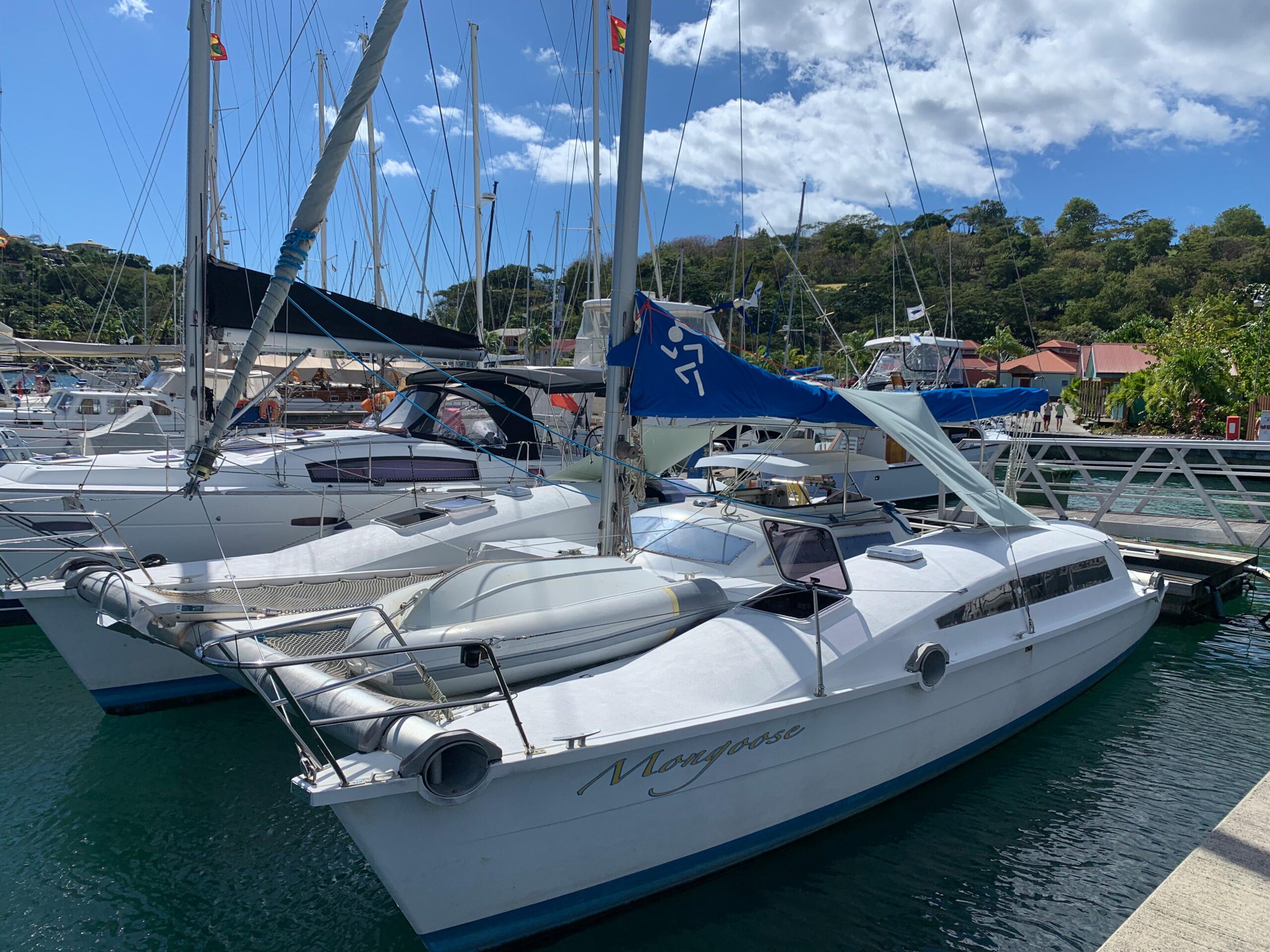 edel 33 catamaran for sale